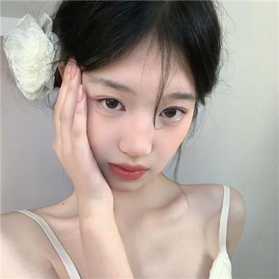 蠢狗记